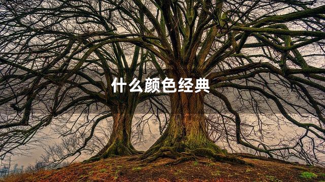 什么颜色经典