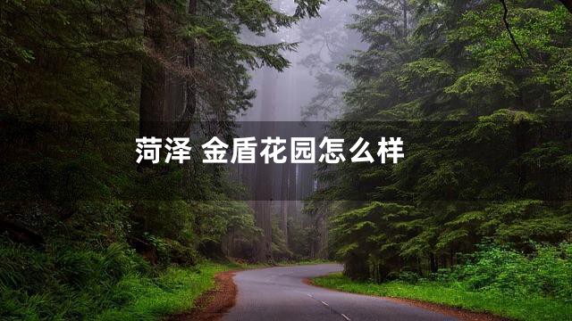 菏泽 金盾花园怎么样