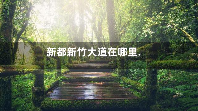 新都新竹大道在哪里.
