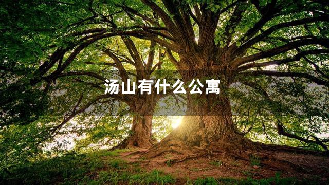 汤山有什么公寓