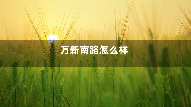 万新南路怎么样