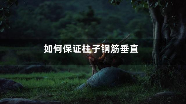 如何保证柱子钢筋垂直