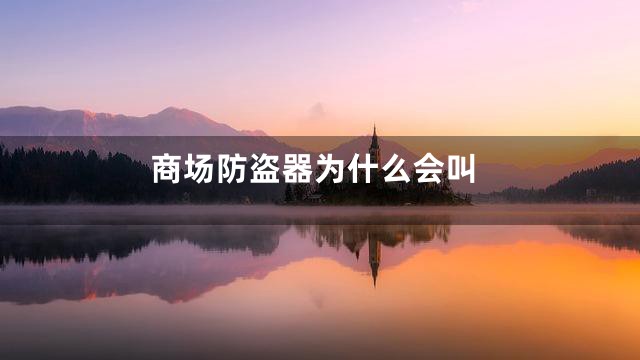 商场防盗器为什么会叫