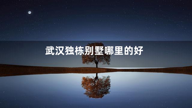 武汉独栋别墅哪里的好