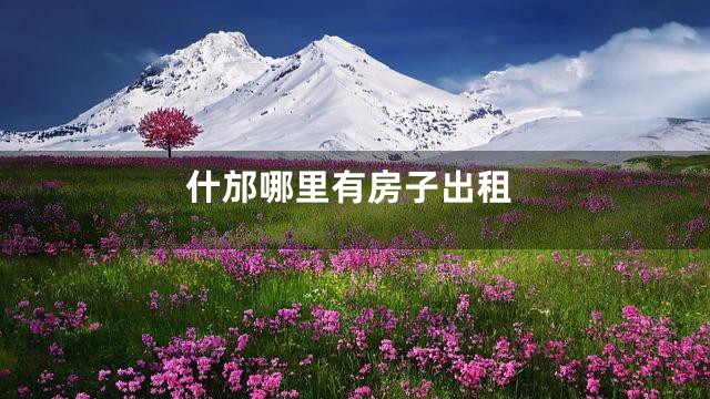 什邡哪里有房子出租