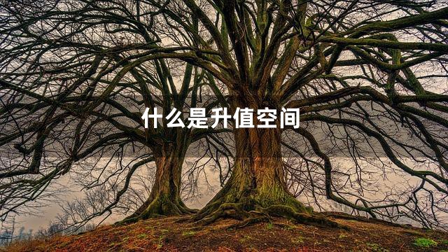 什么是升值空间