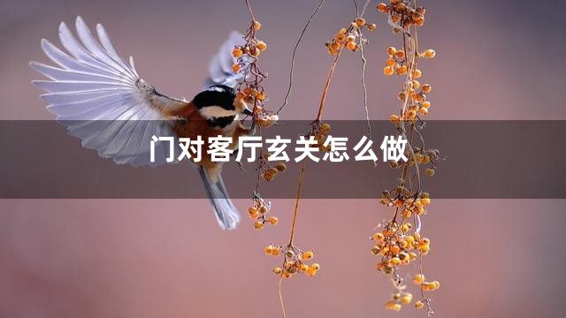 门对客厅玄关怎么做