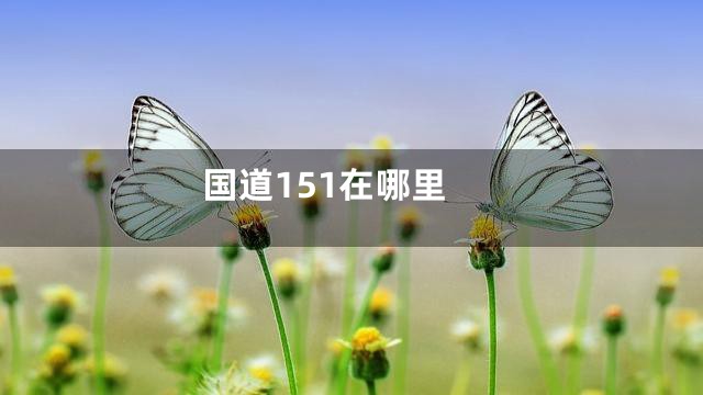 国道151在哪里