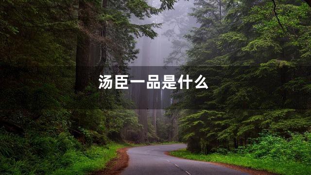 汤臣一品是什么