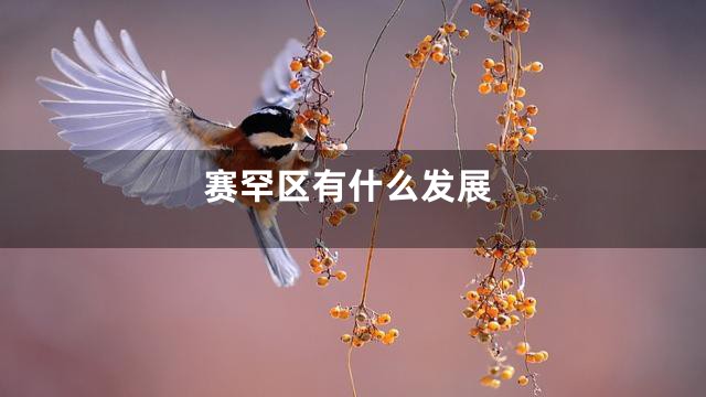 赛罕区有什么发展