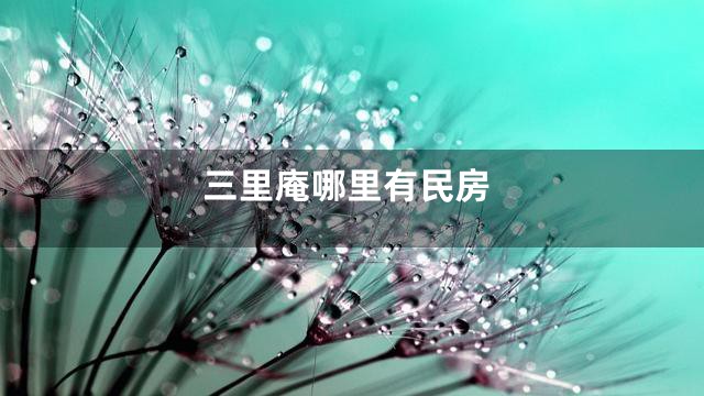 三里庵哪里有民房