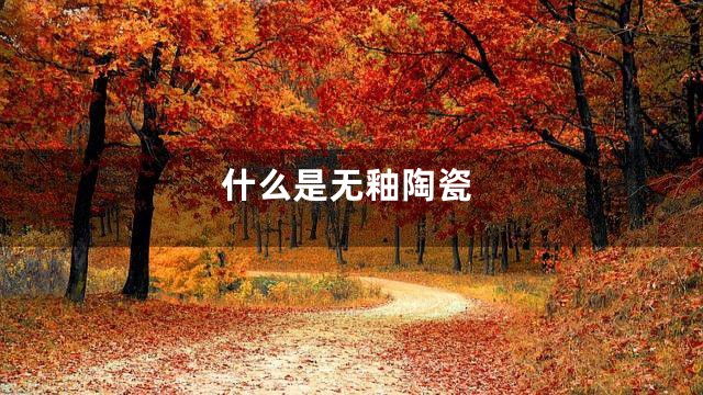 什么是无釉陶瓷