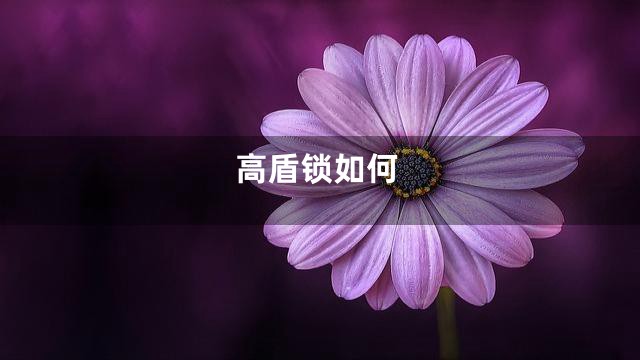 高盾锁如何