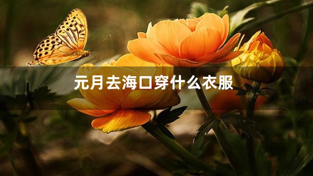 元月去海口穿什么衣服