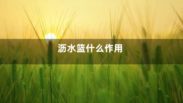 沥水篮什么作用