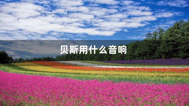 贝斯用什么音响