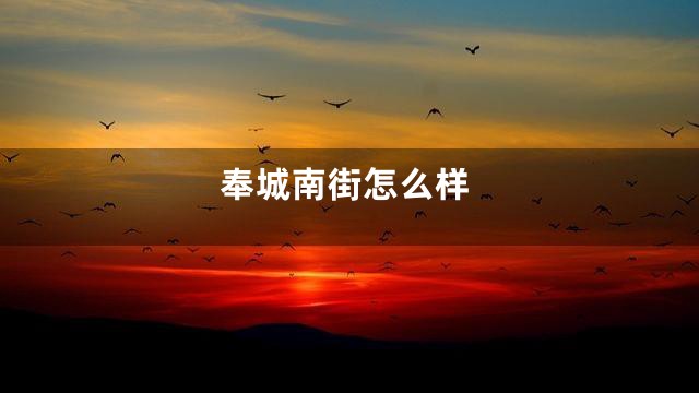 奉城南街怎么样