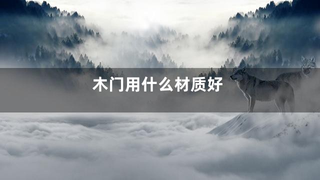 木门用什么材质好