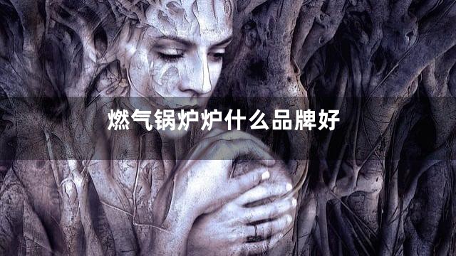 燃气锅炉炉什么品牌好