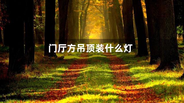 门厅方吊顶装什么灯