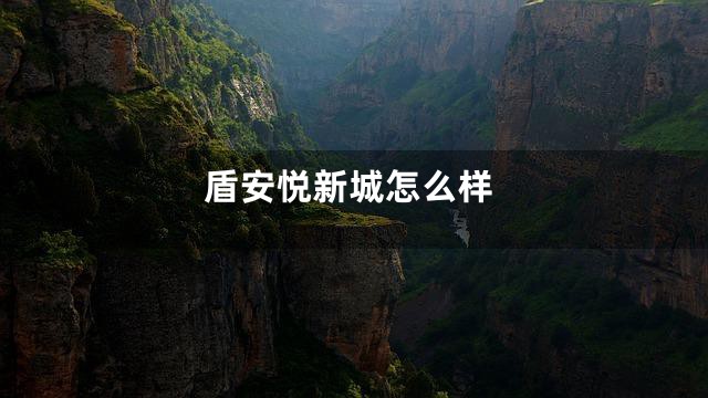 盾安悦新城怎么样