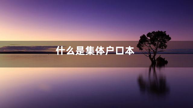 什么是集体户口本