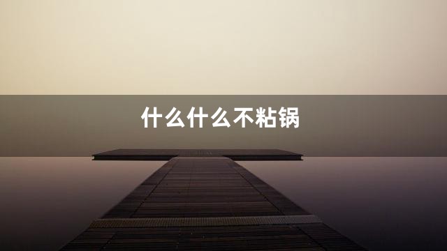 什么什么不粘锅