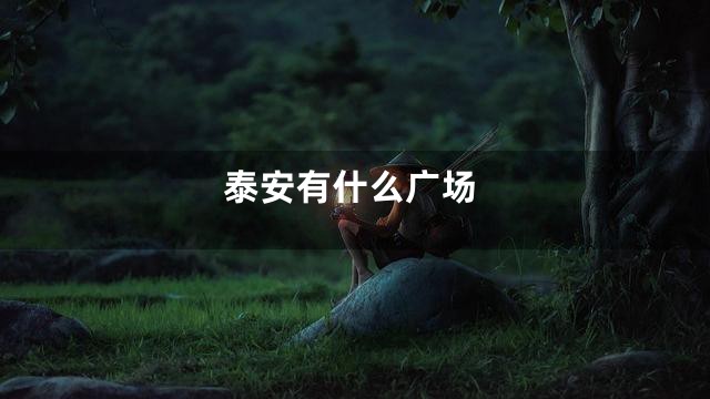 泰安有什么广场