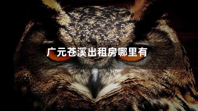 广元苍溪出租房哪里有