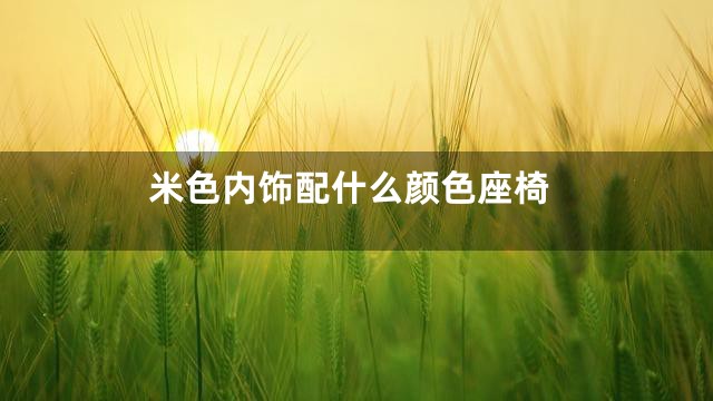 米色内饰配什么颜色座椅