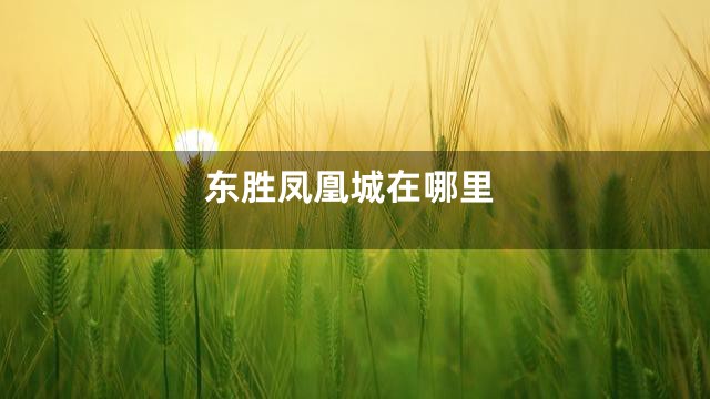 东胜凤凰城在哪里