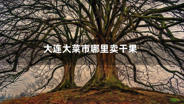 大连大菜市哪里卖干果