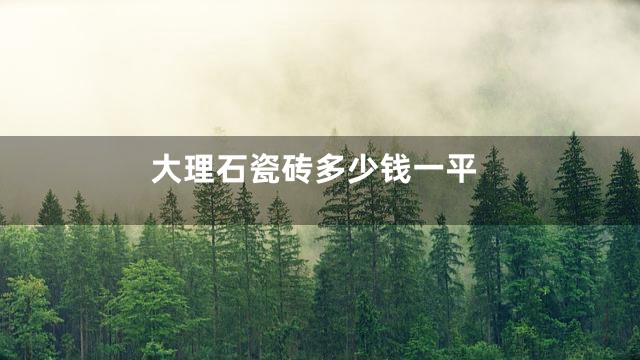大理石瓷砖多少钱一平
