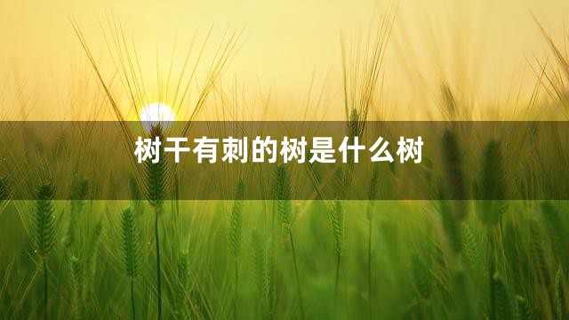 树干有刺的树是什么树