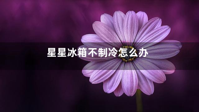 星星冰箱不制冷怎么办