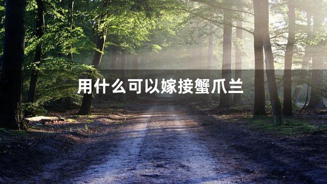 用什么可以嫁接蟹爪兰