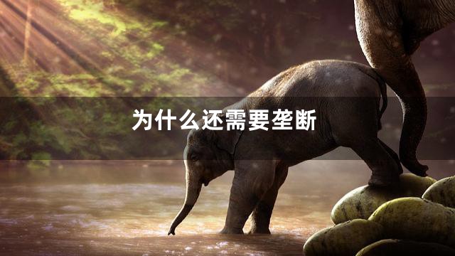 为什么还需要垄断