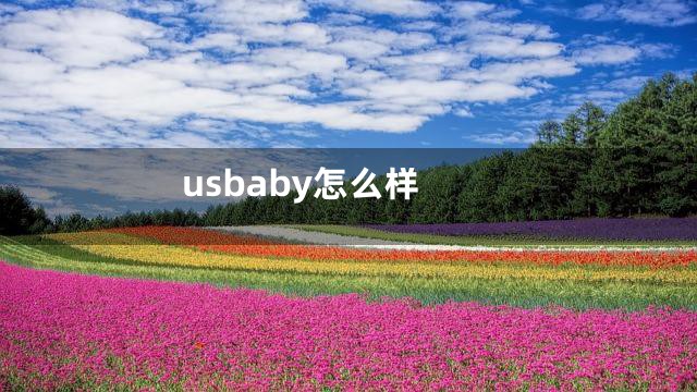 usbaby怎么样