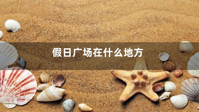 假日广场在什么地方