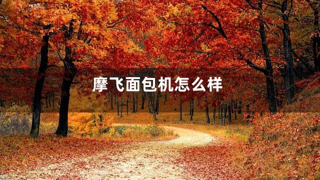 摩飞面包机怎么样