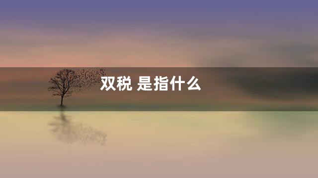 双税 是指什么