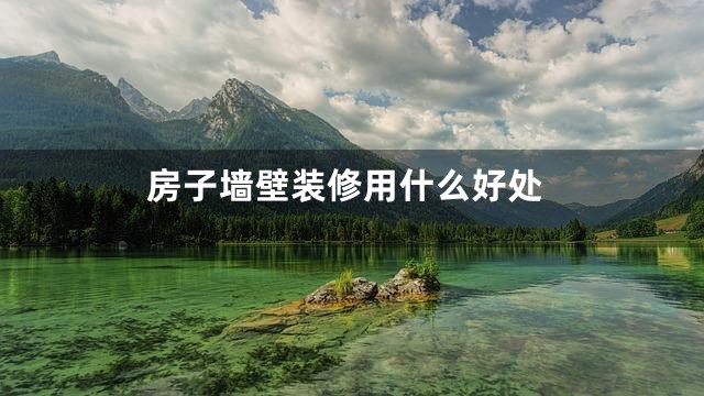 房子墙壁装修用什么好处