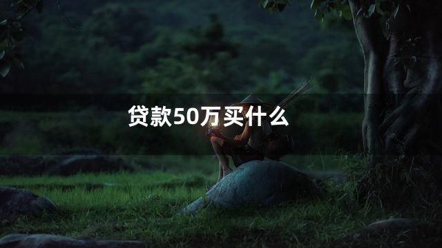 贷款50万买什么