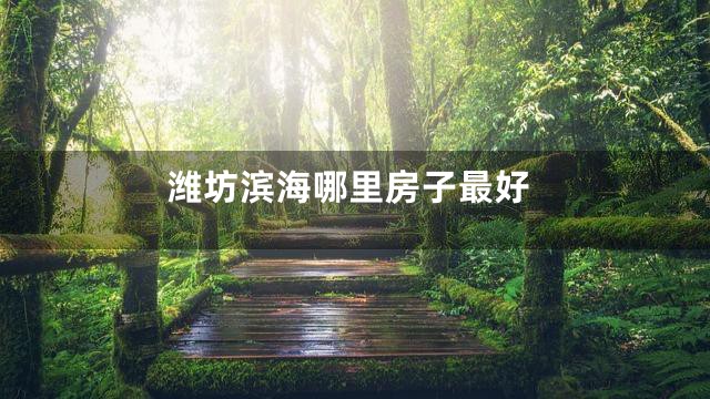 潍坊滨海哪里房子最好