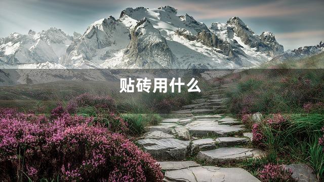 贴砖用什么