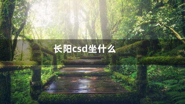 长阳csd坐什么