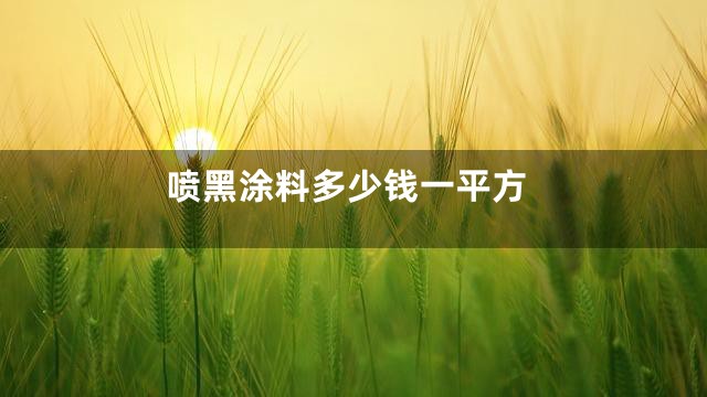 喷黑涂料多少钱一平方