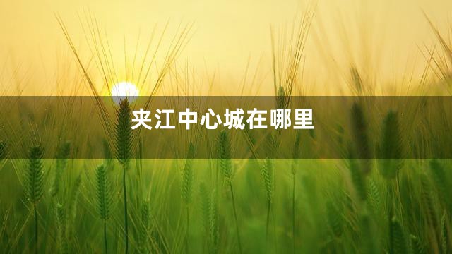 夹江中心城在哪里