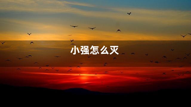 小强怎么灭