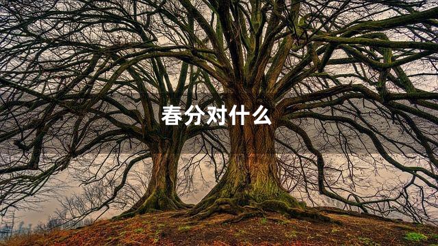 春分对什么